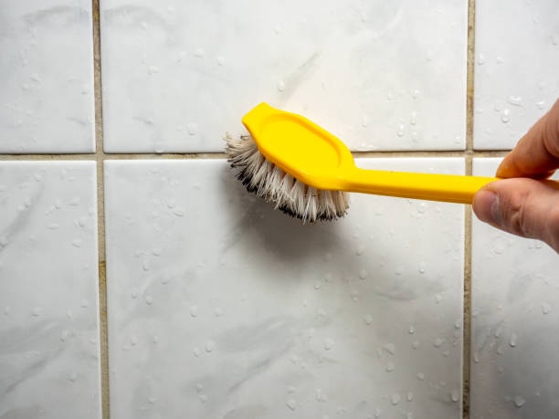 Home Mold Removal in Carthage, NC