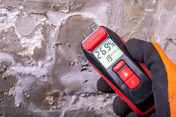 Best Water Damage Restoration  in Carthage, NC