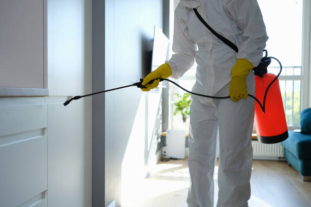 Best Professional Mold Removal  in Carthage, NC