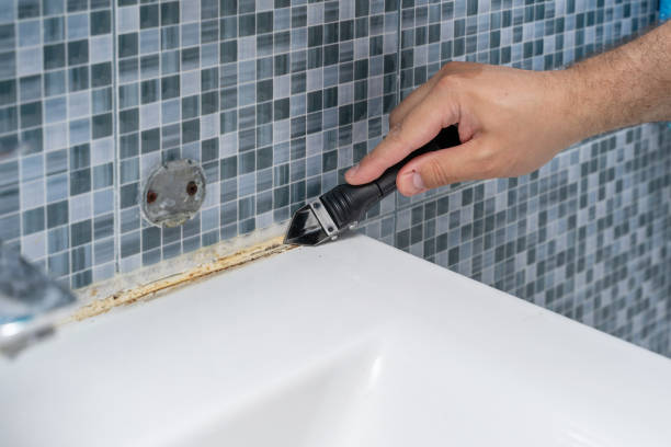 Best Mold Testing  in Carthage, NC
