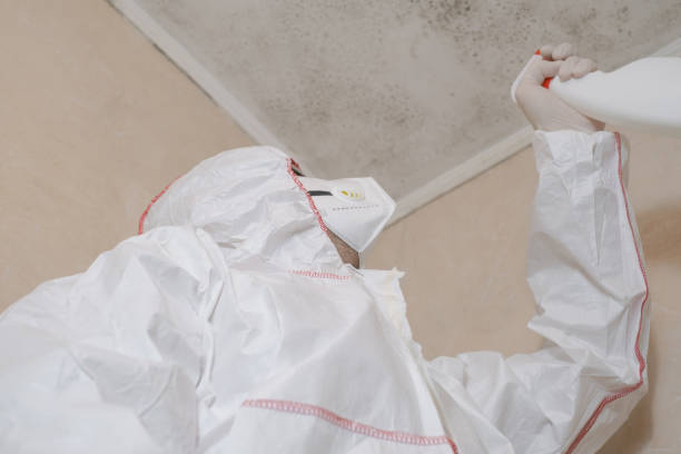 Best Commercial Mold Removal  in Carthage, NC